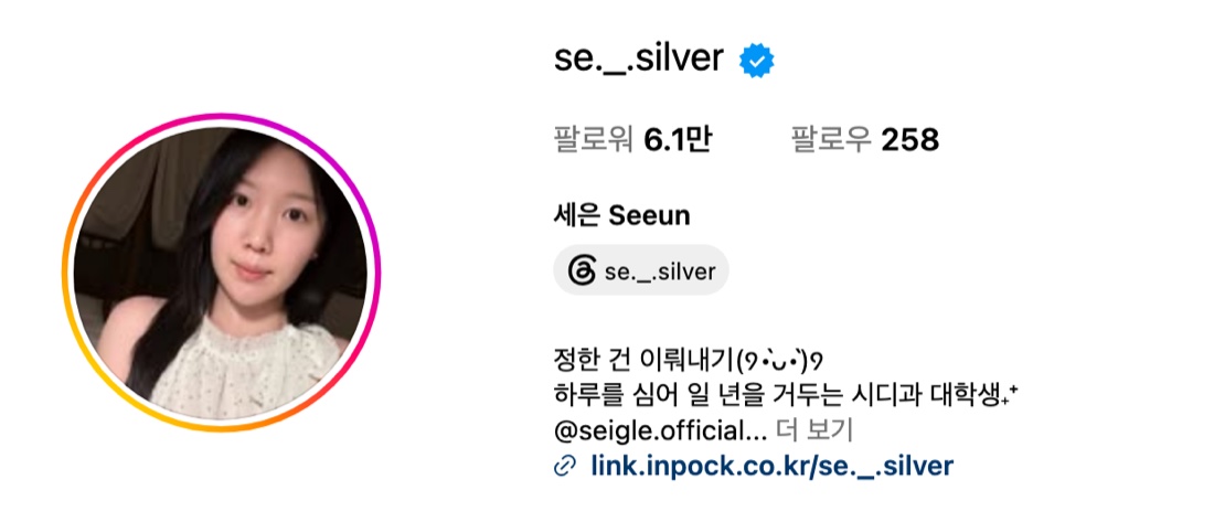 se._.silver 인스타그램 프로필 화면