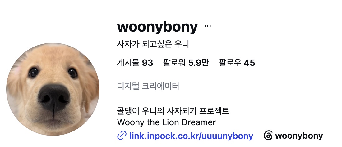 woonybony 인스타그램 프로필 화면