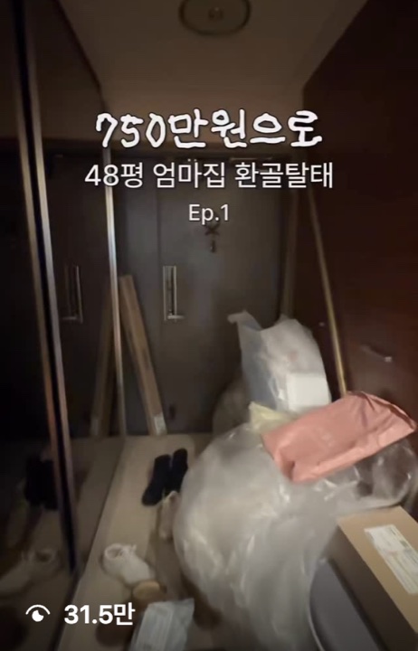릴스 화면, 재생 31.5만